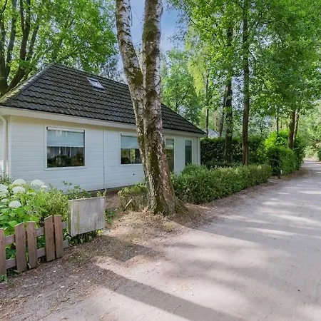 8 Pers Met Natuur- Sauna En Bubbelbad 펜션 디센